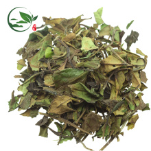 Frischer organischer Chinese Pai Mu Tan weißer Tee